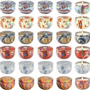 Empty Candle Tins 24 Pcs 2.5OZ with Lids & Jars - Bulk (6 Colors)